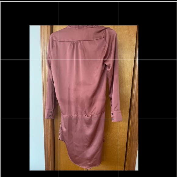 Game and Rebel silk rose colored dress - Picture 2 of 4